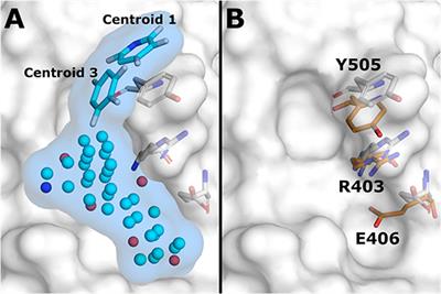 Screening of Natural Products Targeting SARS-CoV-2–ACE2 Receptor Interface – A MixMD Based HTVS Pipeline